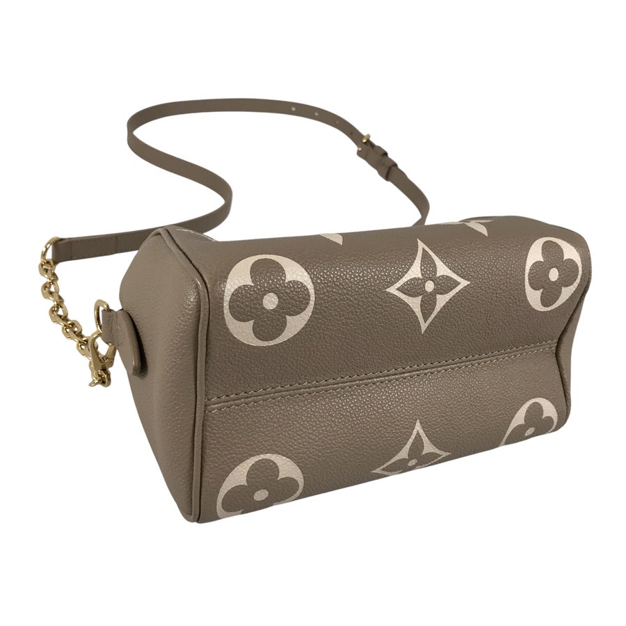 ルイ・ヴィトン ハンドバッグ