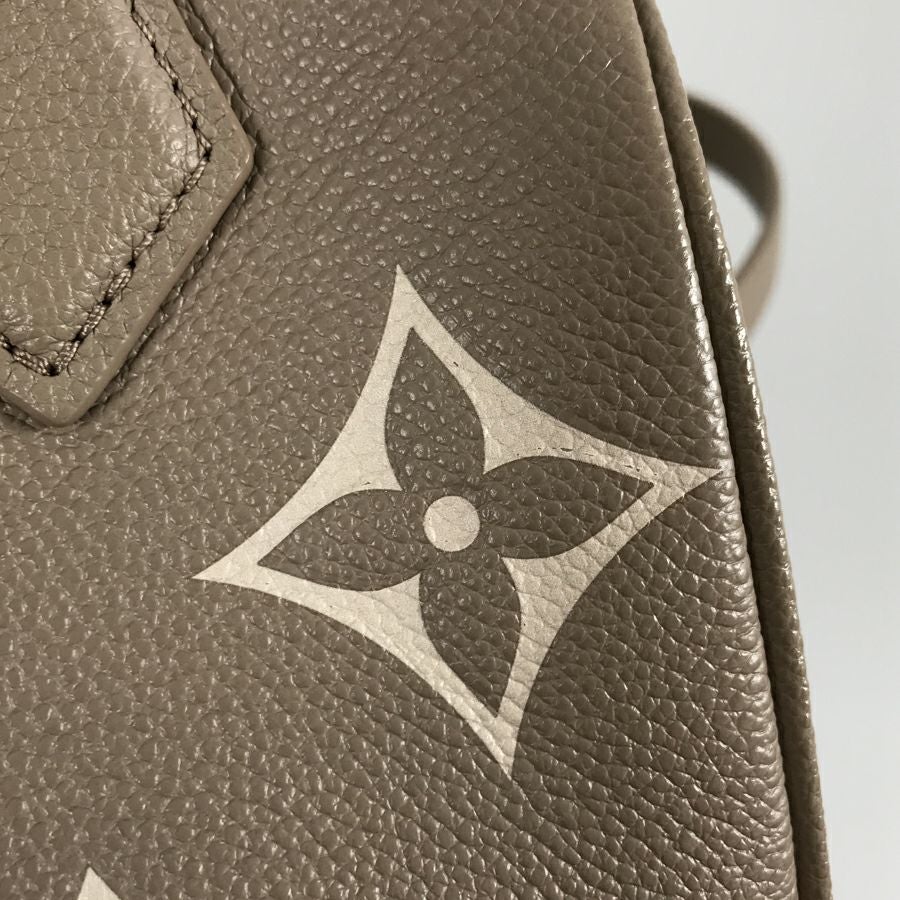 ルイ・ヴィトン ハンドバッグ