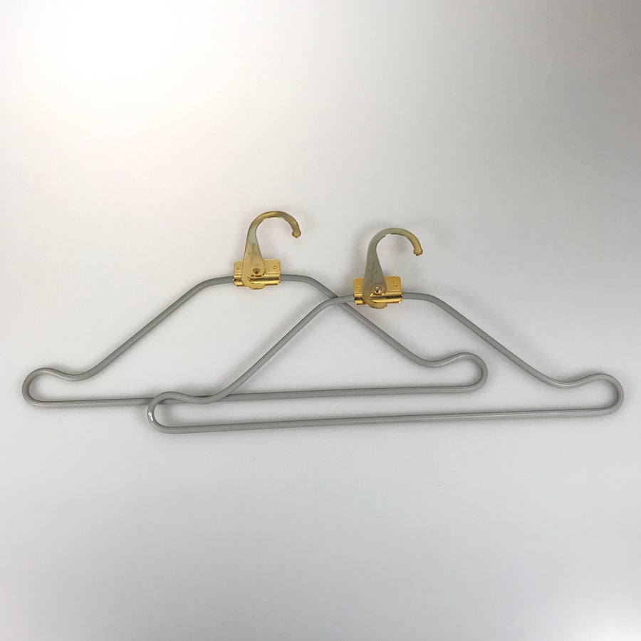 ルイ・ヴィトン ガーメントケース