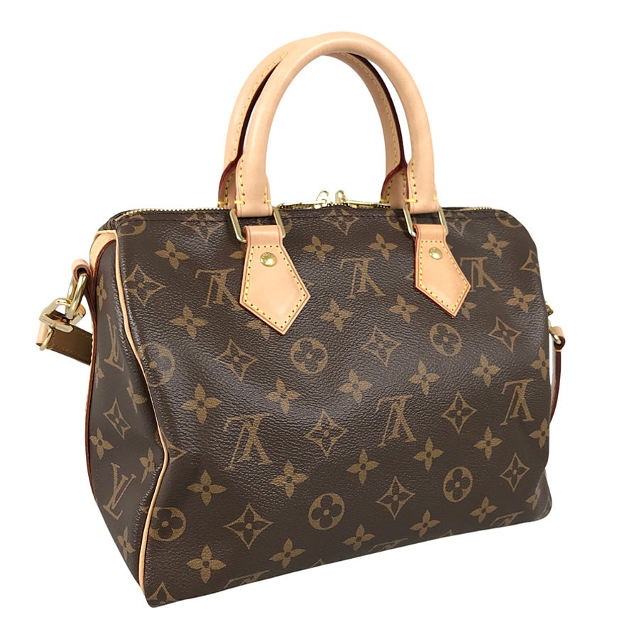 ルイ・ヴィトン ハンドバッグ